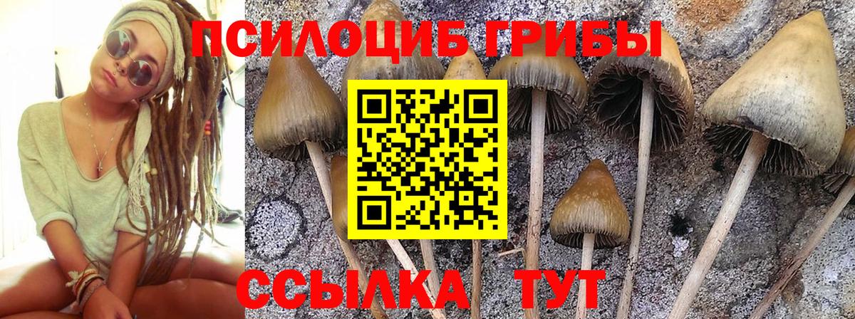 Псилоцибиновые грибы ЛСД  Вход с VPN  Галлюциногенные грибы прущие грибы  Заволжье 